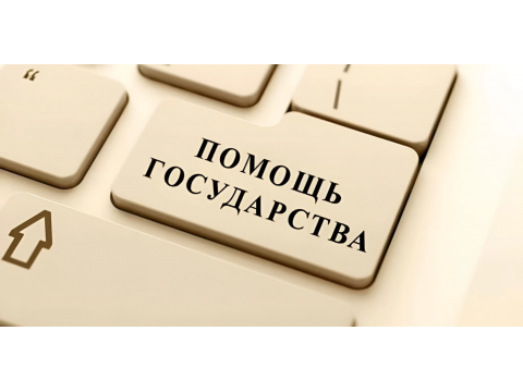 Грамотная покупка пилорам с использованием государственных программ субсидирования